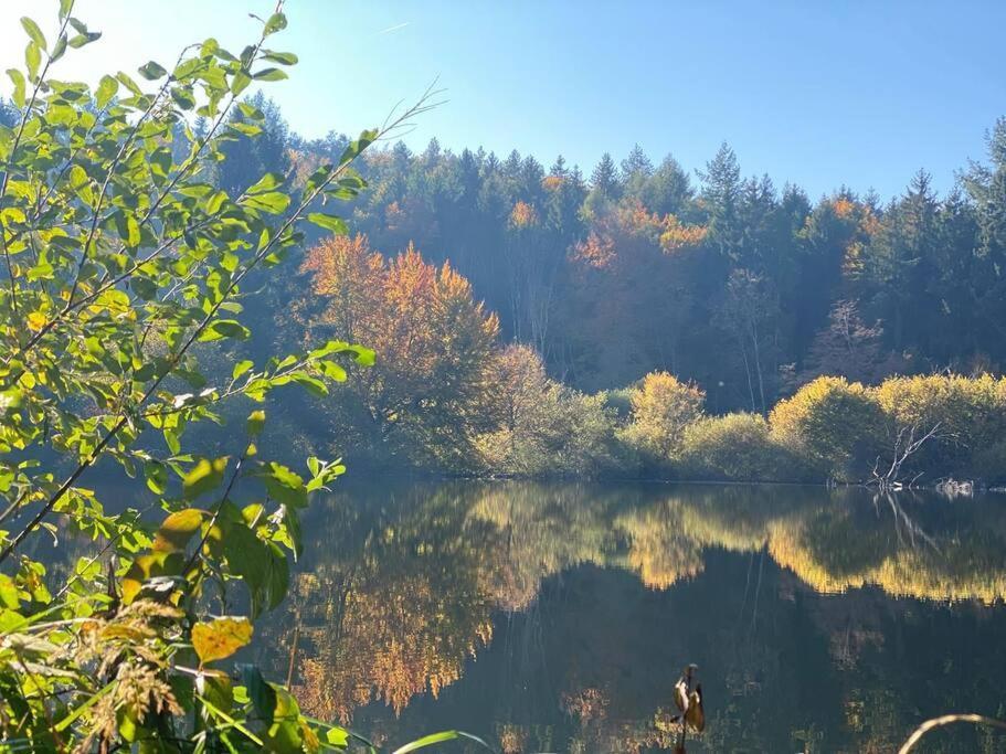Charismatisch Und Gemuetlich In Guettingen, Nah Zum Buchensee Und Bodensee, Tolle Lage Radolfzell am Bodensee Exterior foto